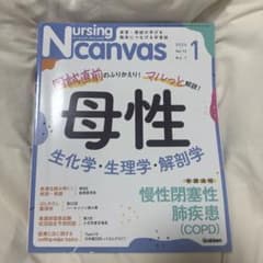 Nursing canvas 2024年1月号, 2025年3月号セットのサムネイル