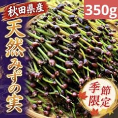 新鮮山菜】天然みずの実 ミズのコブ 300g以上 - メルカリ