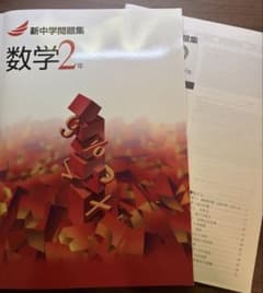 【中学数学】【新中学問題集】 数学2年 解答と解説付きのサムネイル