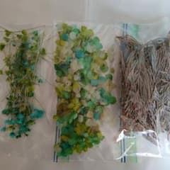 ドライフラワー　まとめ売り　グリーン系のサムネイル