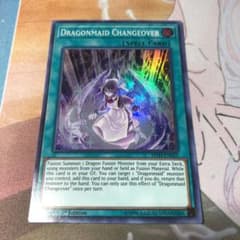 ドラゴンメイドのお召し換  英版のサムネイル