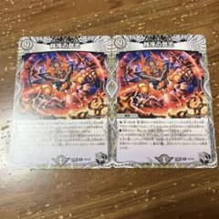 秩序の意志 2枚 - メルカリ