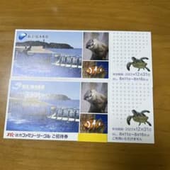 新江ノ島水族館のサムネイル