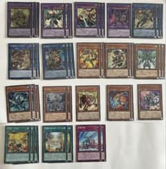 遊戯王　剣闘獣　デッキパーツ