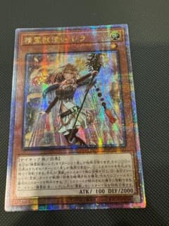 m70842261110_1.jpg?1703153493