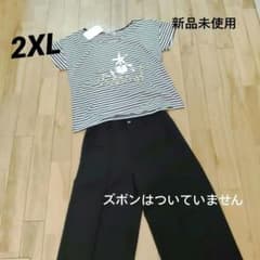 新品　Viaggio Blu　ボーダーTシャツ半袖のサムネイル