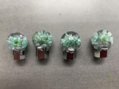 水中花　エアバルブのサムネイル