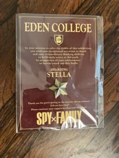 SPY × FAMILY 스파이 패밀리 스텔라 핀 배지 덤 포함