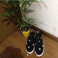 FBＢ様専用♡のサムネイル