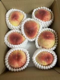 420.お買得福島産 朝採り完熟桃6-9玉入り箱込み1.5kg訳あり家庭用
