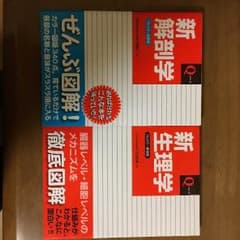 Qシリーズ 新解剖学のサムネイル