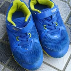 size20センチですのサムネイル