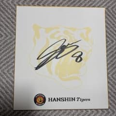 阪神タイガース 球団公式プレゼント品 佐藤輝明選手 直筆サイン色紙
