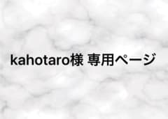 専用ページ