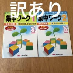 しょうがく社 集中ワーク1・2 【2冊セット】有名小受験 5・6才 訳ありのサムネイル