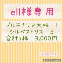 ell様専用のサムネイル