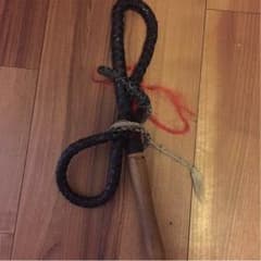 少林拳のムチですのサムネイル