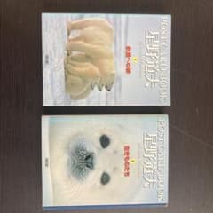 星野道夫 ポストカードブック 1 (永遠への旅)・2(生きものたち)2冊セットのサムネイル