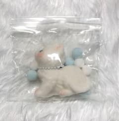 흰 고양이 모후 모후 스퀴즈