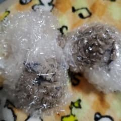 이치 반 쿠지 NARUTO 질풍전 풍영탈환편 데스크탑 피규어
