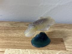 原色タコ・イカ図鑑 ２種類のサムネイル