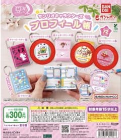 サンリオキャラクターズ プロフィール帳 3種セットのサムネイル