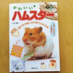 ハムスターの飼い方のサムネイル