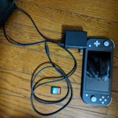 Switchライト グレー ジャンク品 充電器 釣りスピカセット付きのサムネイル