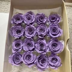 ブリザーブドフラワー 薔薇 花径 2cm前後 ラベンダーのサムネイル
