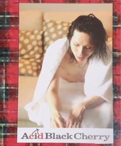Acid Black Cherry 写真集 ポストカード yasu - 3
