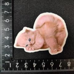 방수 스티커 [에 95] 멋진 귀여운 고양이 고양이 고양이 포즈