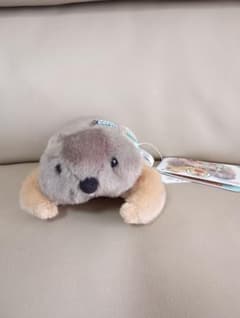 Dr.Marmot まもちお ぬいぐるみ マスコットのサムネイル