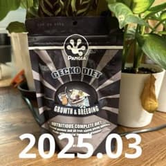 パンゲア✩.*˚GROWTH&BREEDING8oz✩.*˚2025.03のサムネイル