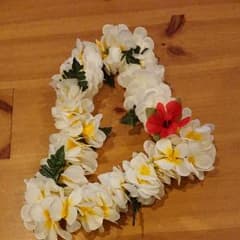 フラダンス レイのサムネイル