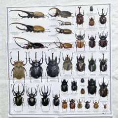 m70892880245_1.jpg?1751348821