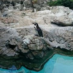 ひな様専用ページ脱色☆のサムネイル
