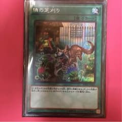 隣の芝刈り シクのサムネイル