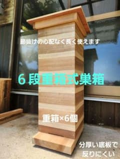 熟練大工作製、柾目板使用で重箱の節抜けの心配なし、日本蜜蜂6段重箱
