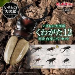 이키모노 대도감 감는 우리 12 온라인판 한정 전 6종 컴플레어들이 받침대 첨부