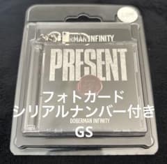 DOBERMAN INFINITY PRESENT GSのサムネイル