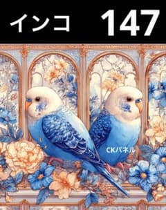 インコパネル生地 6柄セット CKパネル - メルカリ