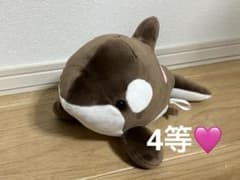 須磨シーワールド シャチ オルカくじ 新色 ショコラデュオカラー 4等