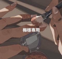 梅様専用　チェビョンチャントレカのサムネイル