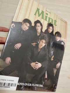 【未使用】Mint magazine 1stanniversaryのサムネイル