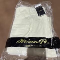 智辯学園甲子園準優勝世代試合用ユニホーム甲子園限定品　新品Mizuno Proのサムネイル