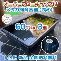 ★超メル特価 メダカ飼育ケース 60㍑トロ舟x4個 オーバーフロー ビオトープ メダカ飼育ケース 60㍑x3個 トロ舟 オーバーフロー 金魚飼育容器