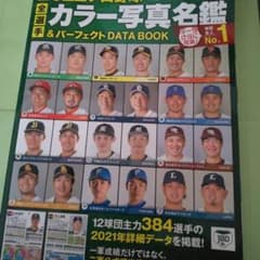 プロ野球選手名鑑 2021 カラー写真名鑑&パーフェクトDATA BOOKのサムネイル