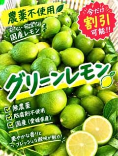 秀優品混合　無農薬　グリーン　レモン　愛媛県産　農家直送　2.8kg箱込のサムネイル