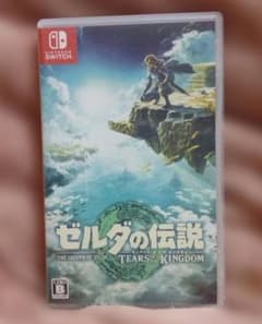 젤다의 전설 티어즈 오브 더 킹덤 스위치 소프트 Switch