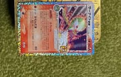 yuki様専用　ポケカ　25th　プロモ サーナイトex ドンファン　セットのサムネイル